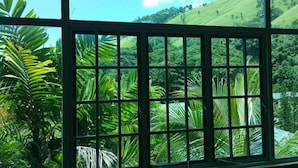 Vista a través de una ventana con un diseño de cuadrícula, mostrando un follaje verde exuberante y un paisaje montañoso.