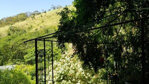 Un patio con barandilla metálica, una mesa y sillas, rodeado de abundante vegetación y un paisaje ondulado.