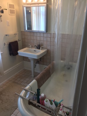 Hair dryer, bidet, towels, soap