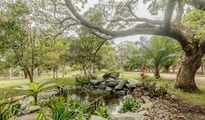 Property grounds - Houses in the Ecovillage D'ajuda Condominium - EVL (Porto Seguro)