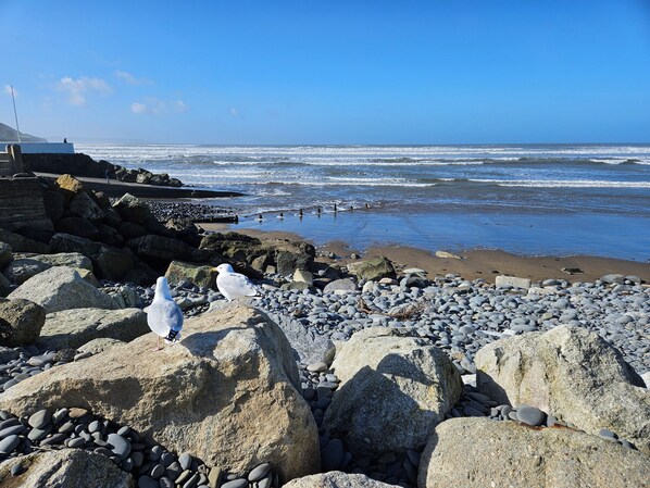 Strand