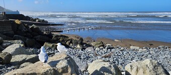 Pebble Ho! Ho! Holiday home in Westward Ho!