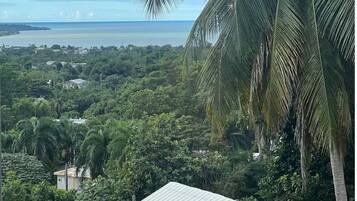 A view of a coastal area with dense greenery, a palm tree, and a building with a corrugated metal roof.