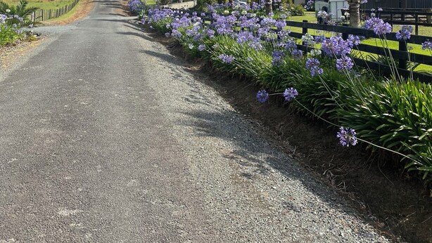 Un chemin de gravier bordé de fleurs violettes et de palmiers, qui mène à un quartier résidentiel où se trouvent une caravane et une maison.