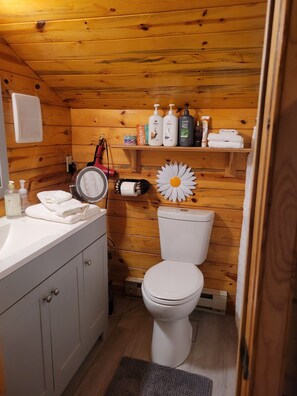 Hair dryer, towels, soap, toilet paper