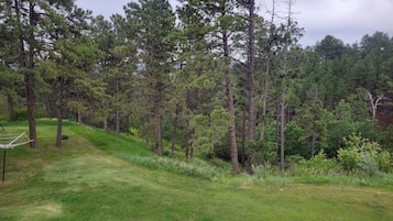 Área da propriedade