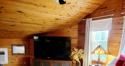 Beautiful & Comfy CABIN Retreat with abundant wildlife, WIFI and AC