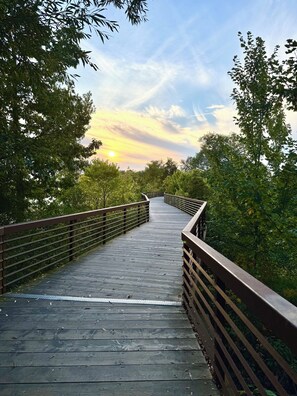 Enceinte de l’hébergement