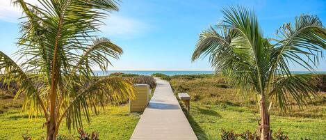 A wooden pathway leading to a beach with palm trees on either side.