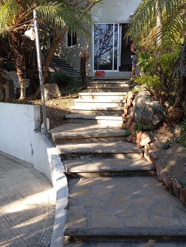 A stone staircase leading to a house with a metal railing on the left and a palm tree on the right.