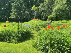 Terrain de l’hébergement