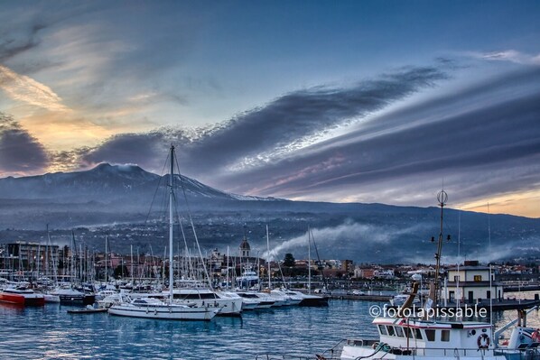 Marina