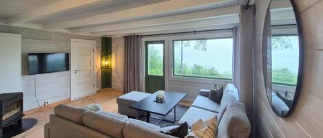 Smart-TV, Kamin
