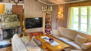 Älytelevisio, takka