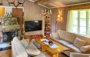 Smart-tv och eldstad