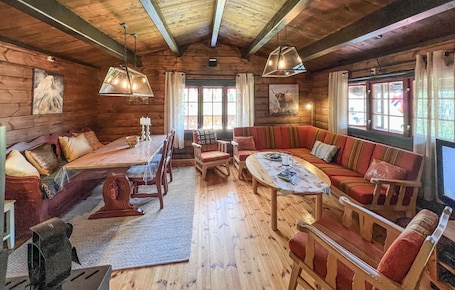 TV, fireplace. 3 bedroom gorgeous home in Nordberg