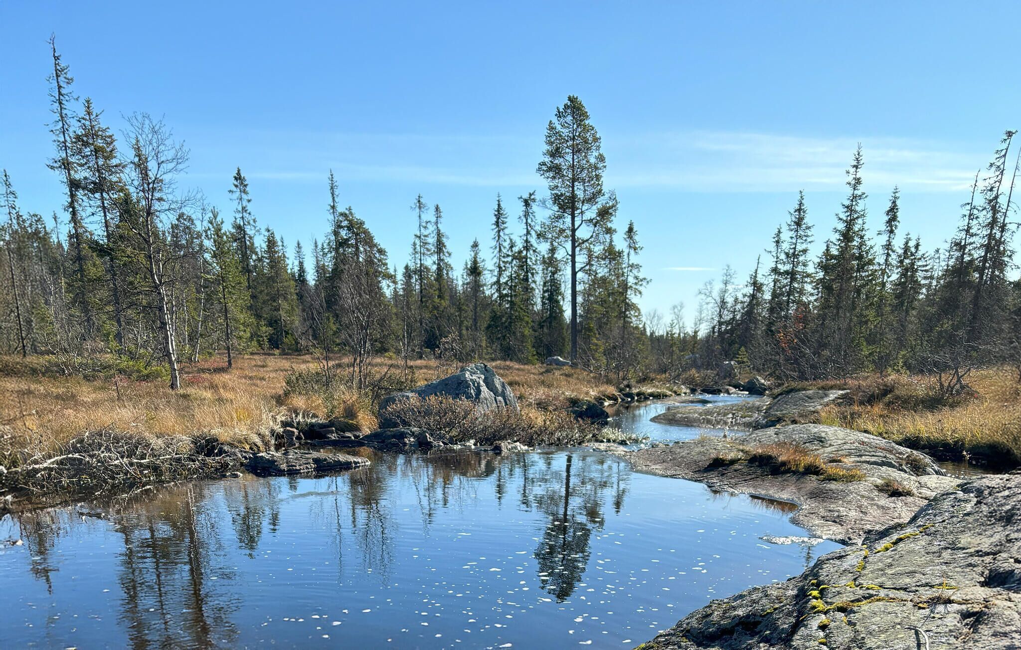 Eine natürliche Landschaft mit einem kleinen Bach, felsigem Gelände und dichtem Wald.