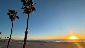 A beach with palm trees and a sunset. - Cozy Beachfront Getaway! (Los Angeles)