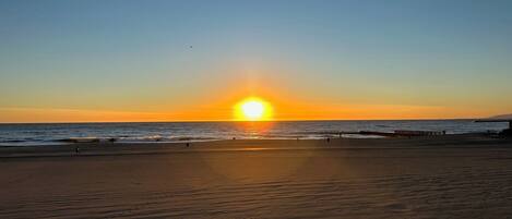 Serviettes de plage