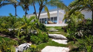 Un edificio moderno con fachada de vidrio, rodeado por un jardín tropical con palmeras y un camino de piedra.