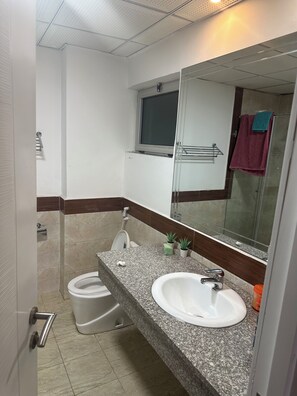 Shower, jetted bath, hair dryer, towels - Spacious 3-bedroom apartment in nice Addis Ababa with WiFi (Addis Ababa)
