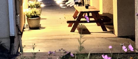 An outdoor patio area with a wooden table and chairs, potted plants, and a pathway leading to a building entrance.