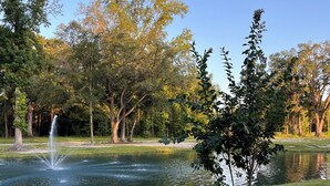 Una tranquilla scena di un parco con uno stagno, una panchina in pietra e una fontana.