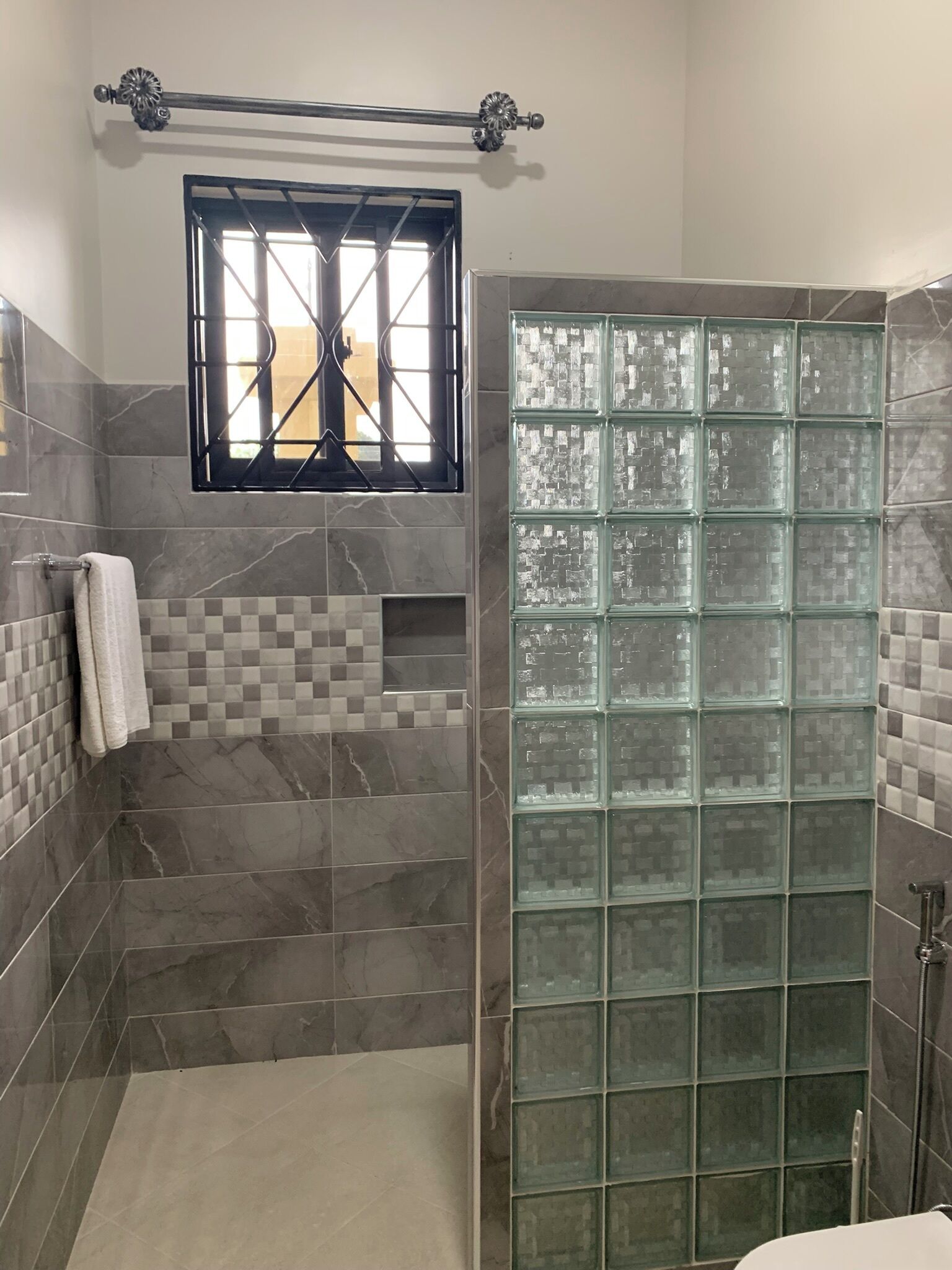 Shower, bidet, towels, soap