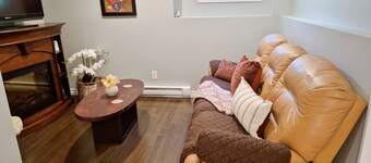 Newly Renovated Basement Travellers Suite
