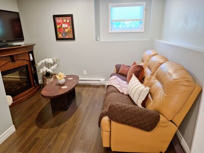 Newly Renovated Basement Travellers Suite
