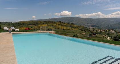 HostWise - 10BR Douro Villa with Pool