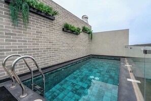 Una piscina en la azotea con un muro de ladrillo, una escalera metálica y plantas en macetas.