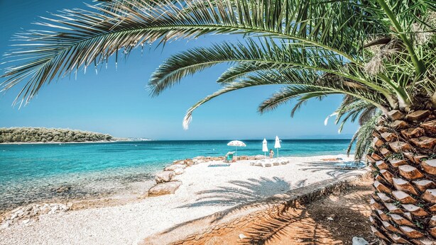 A beach with clear turquoise water, white sand, and a palm tree. There are umbrellas and lounge chairs on the sand.