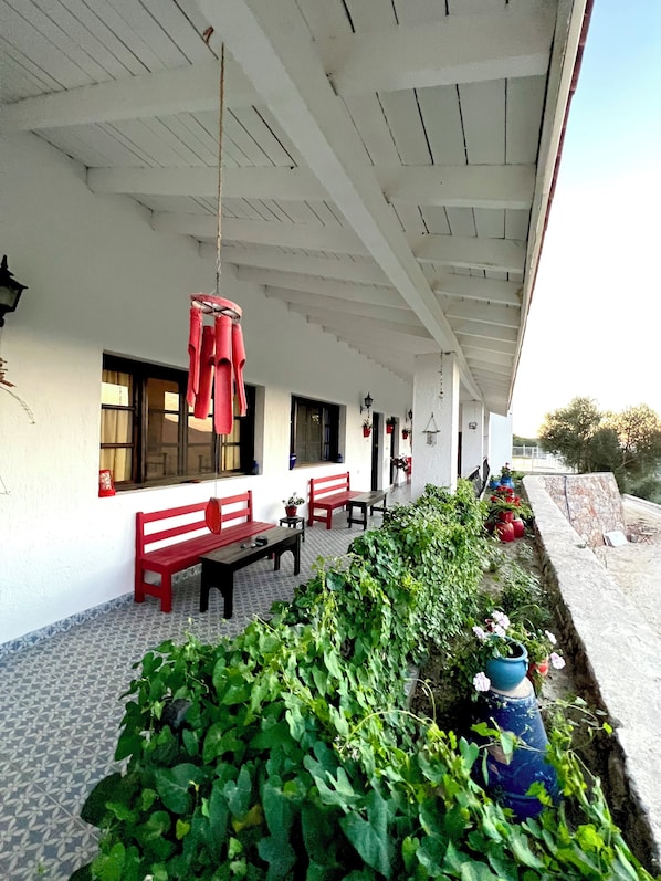 Terraza o patio