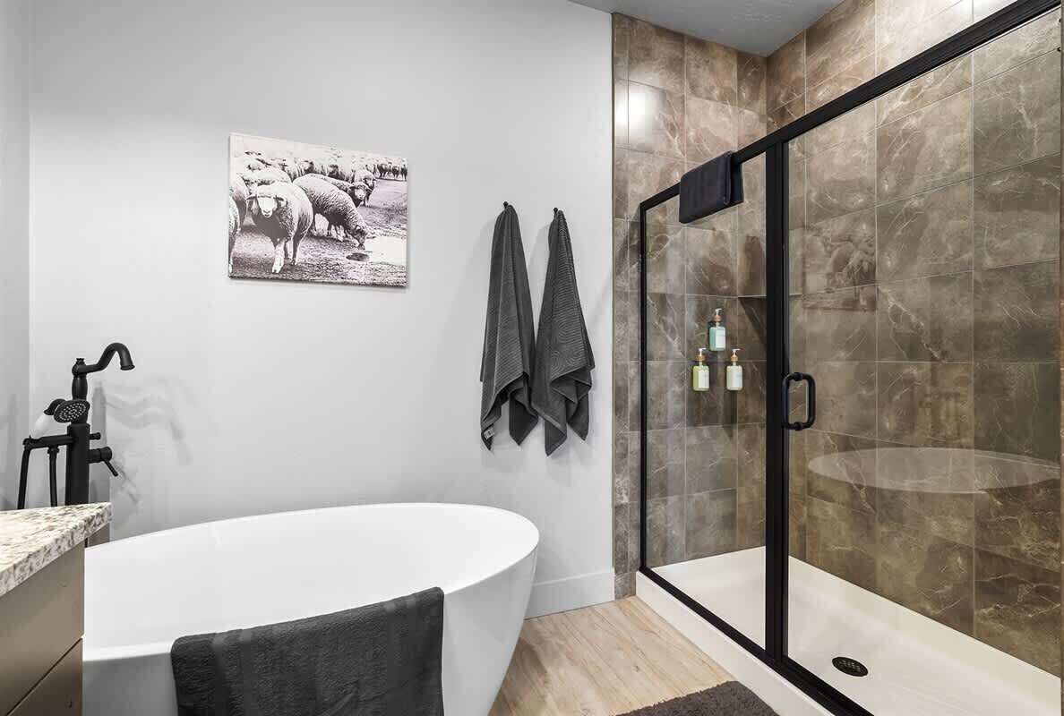 Douche, sèche-cheveux, shampoing