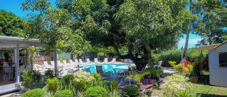 A backyard with a swimming pool, lounge chairs, and a large tree.