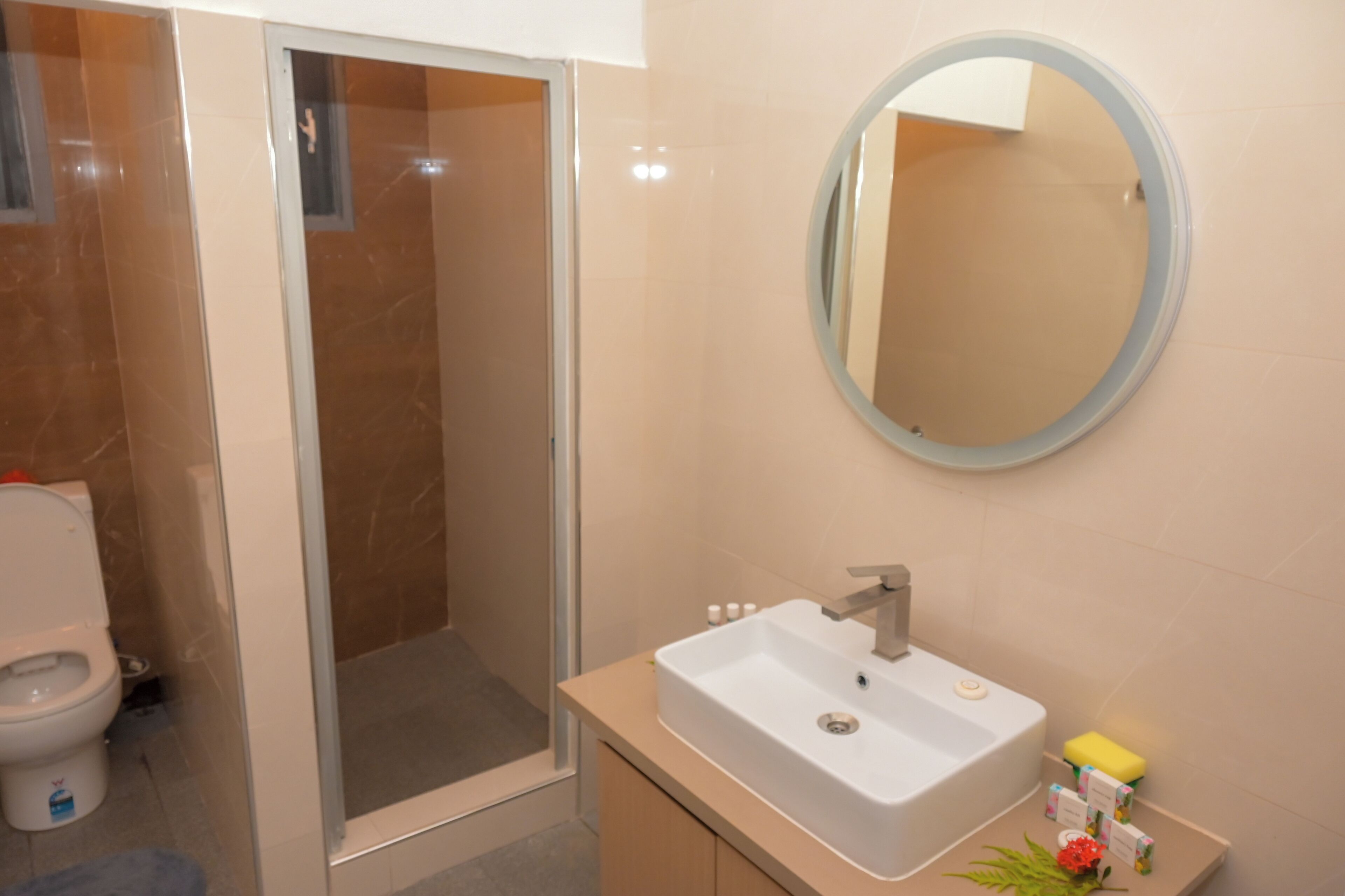 Een moderne badkamer met een douchecabine van glas, een witte wastafel met een spiegel erboven en een beigkleurig aanrecht.