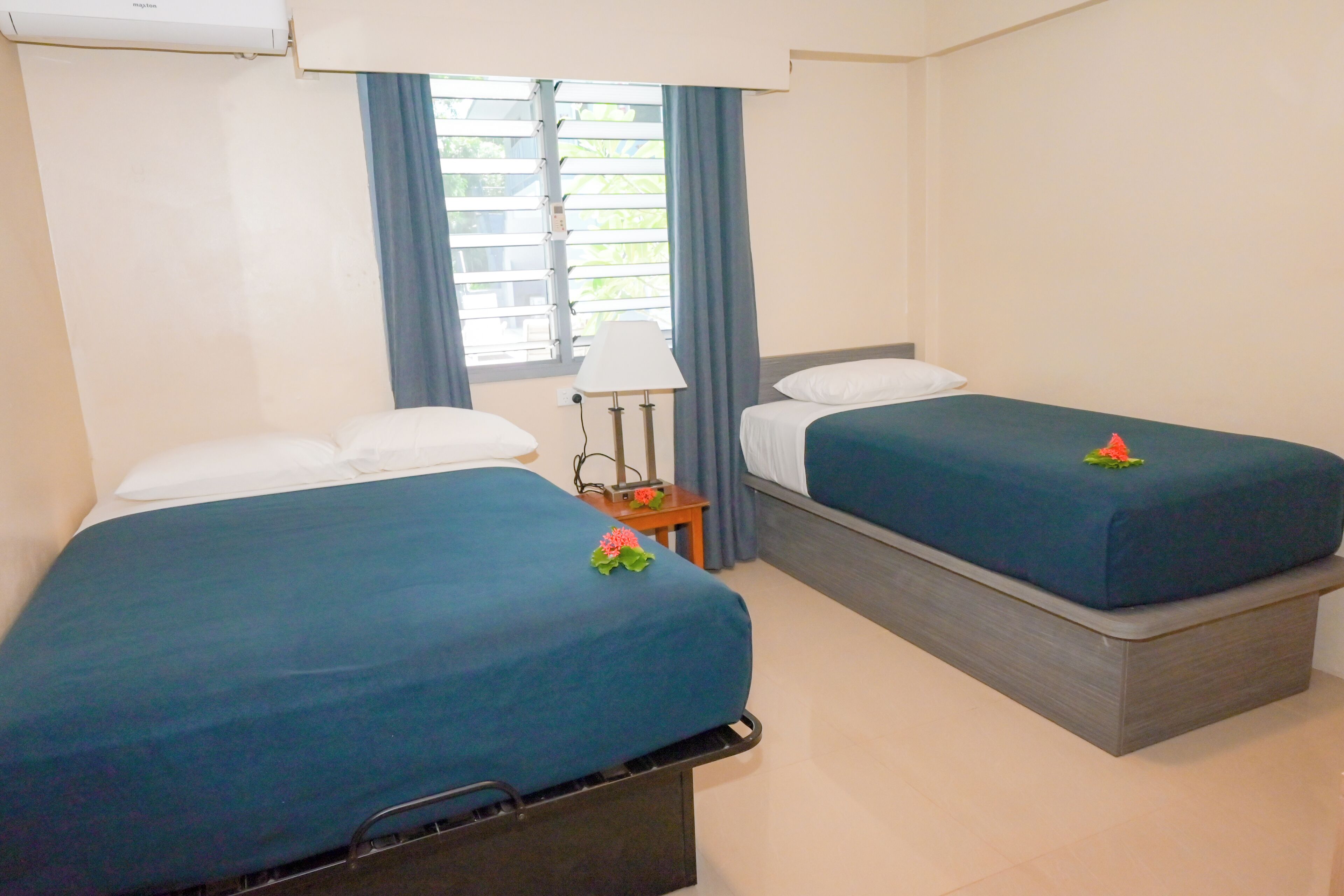 Habitación de hotel con dos camas, una ventana con cortinas, una mesita de noche con lámpara y una pequeña planta.