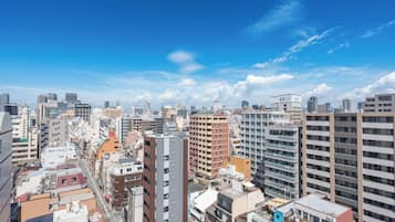 Vista del balcón