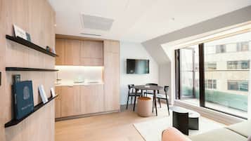 Superior Apartment, City View (1B4DX) | City view