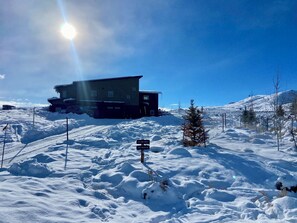 Property grounds - Cozy Mountain Modern- 3miles to Gunnison, 35min to Crested Butte (Gunnison)