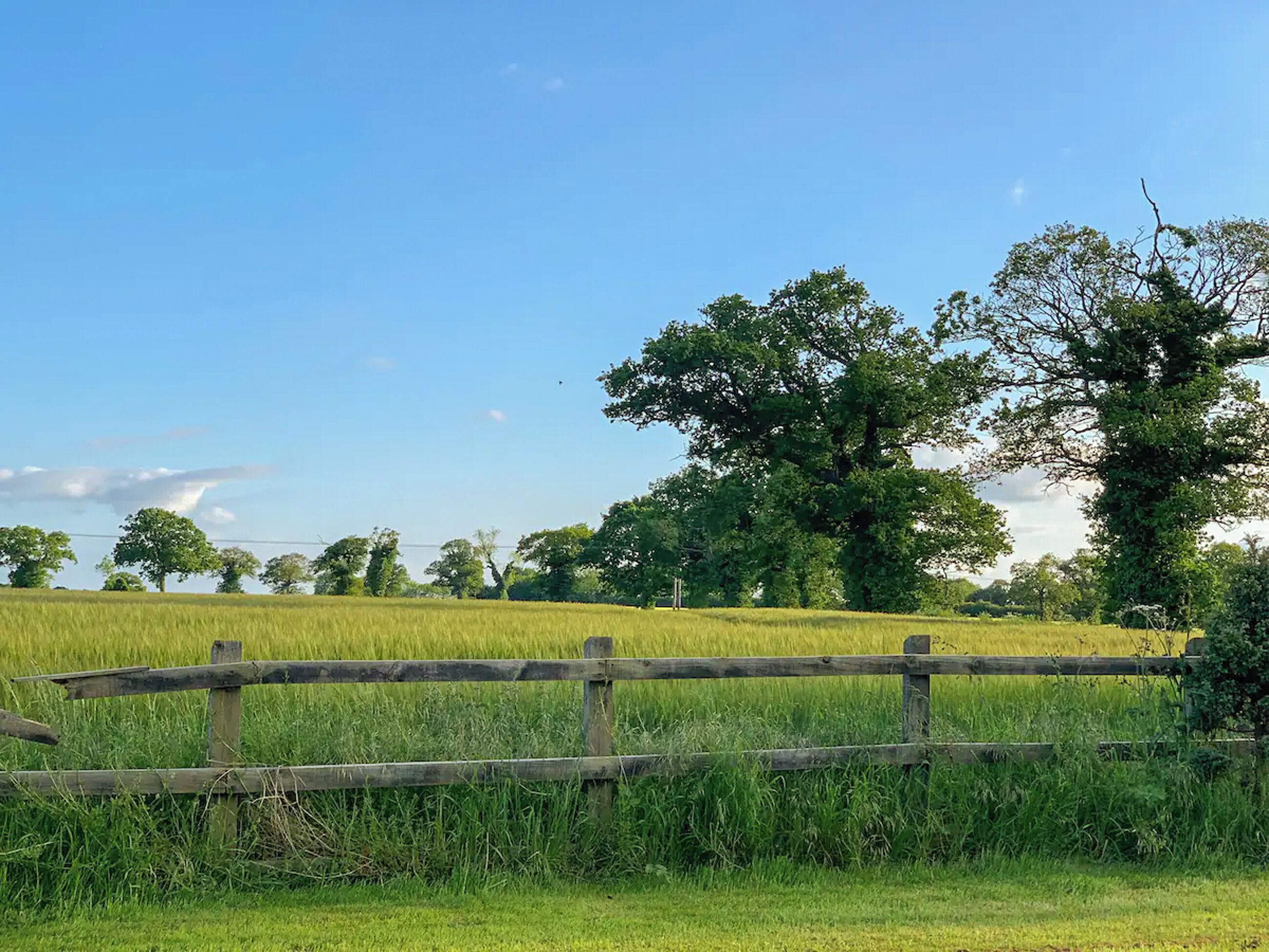 View | Butterfly Roundhouse - The Roundhouses, South Walsham