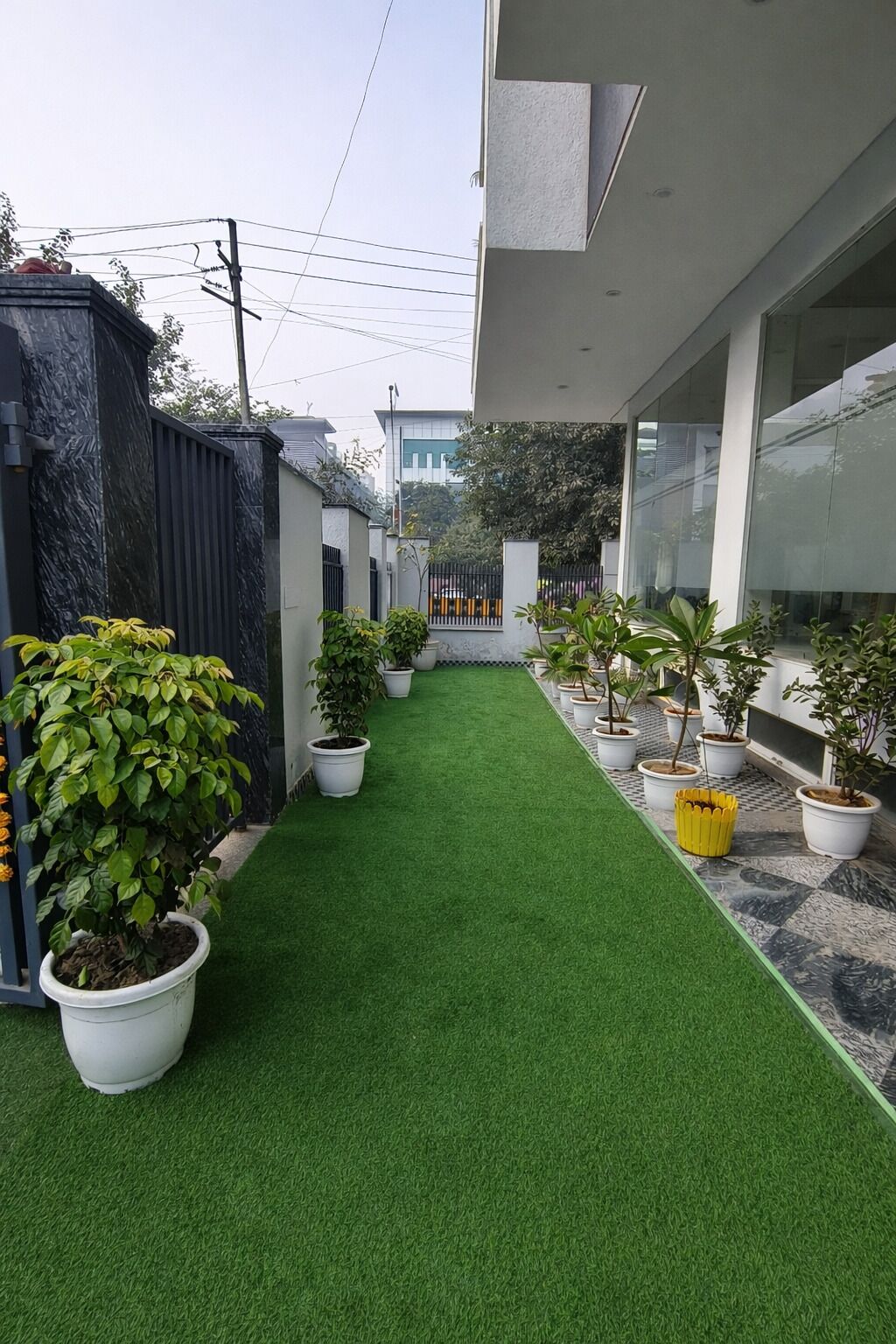 Garden