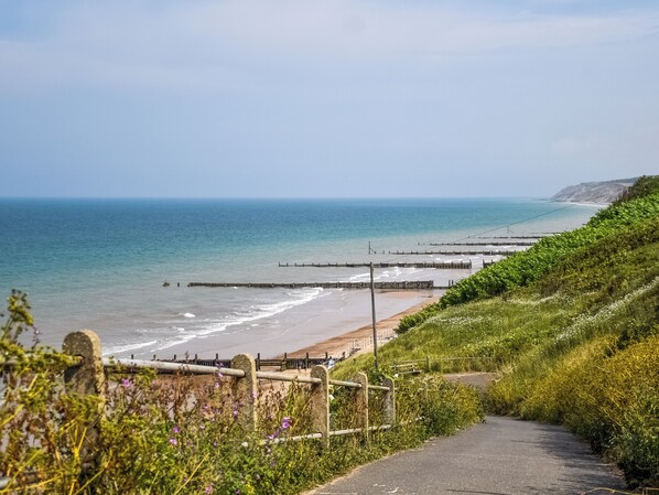 صيد الأسماك