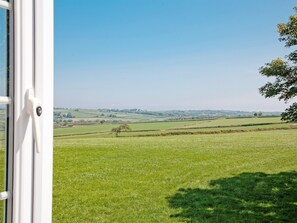 Une vue à travers une fenêtre sur un champ verdoyant, avec un arbre au premier plan et un paysage rural en arrière-plan.