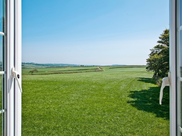 A view through a window of a green field with a tree and a white chair.