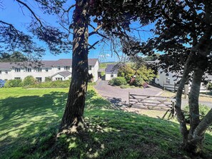 A residential area with a large tree, a paved driveway, and a building with multiple windows.