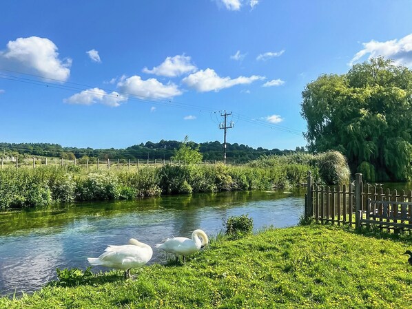 A serene river with swans, lush greenery, and a clear blue sky.