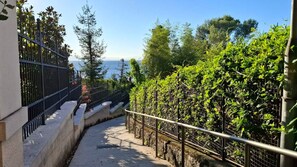 Terrain de l’hébergement 