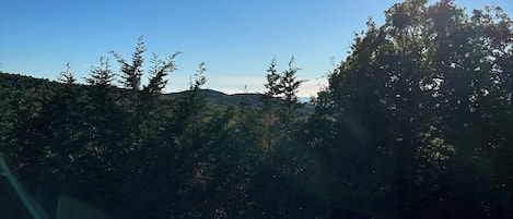 Terrain de l’hébergement